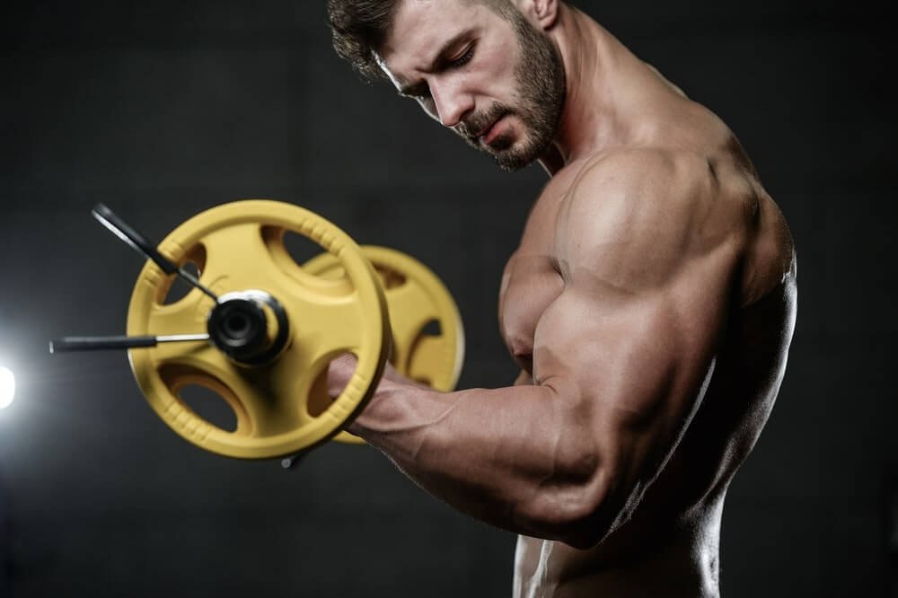 How To Grow Muscle Size Without Getting Fat VAUNTE