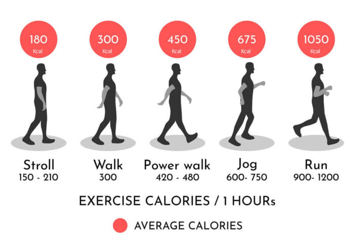 one hour of brisk walking calories