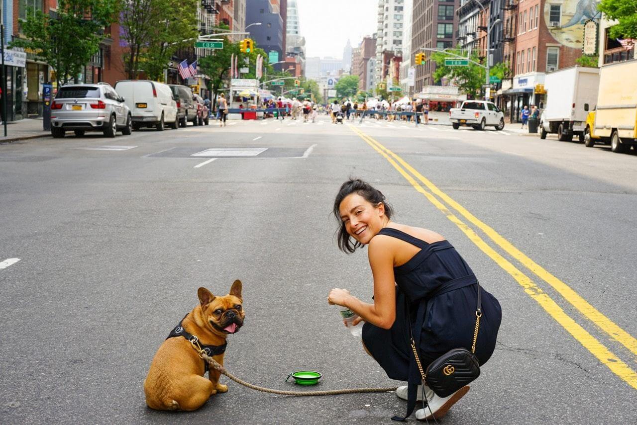 visit nyc with a dog