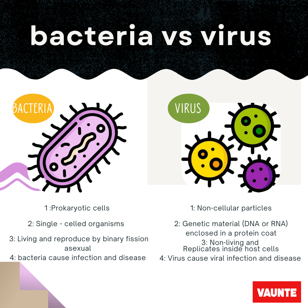 How are Viruses Different from Bacteria Apex? VAUNTE